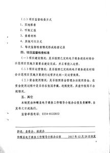 和顺县电子商务进农村综合示范项目监督检查制度（试行）——数字内容制作服务专项